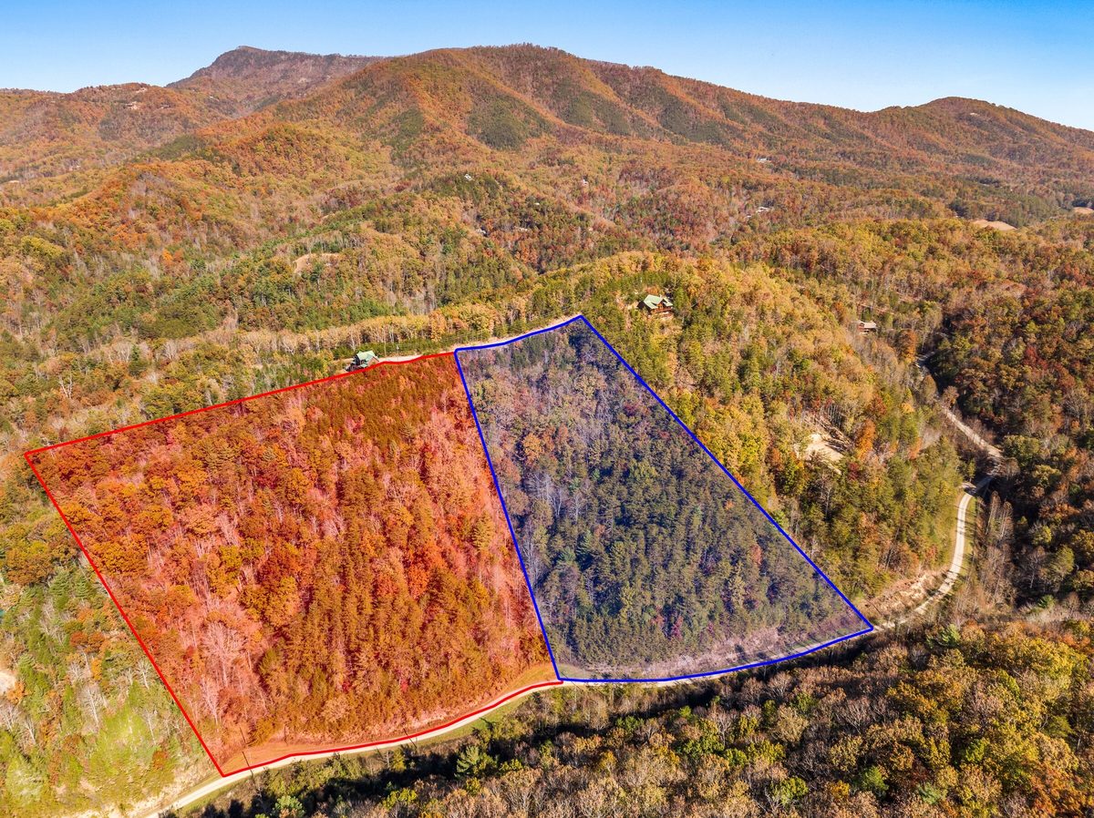 Aerial view of two wooded mountainside parcels outlined in red and blue in fall color, Cosby TN