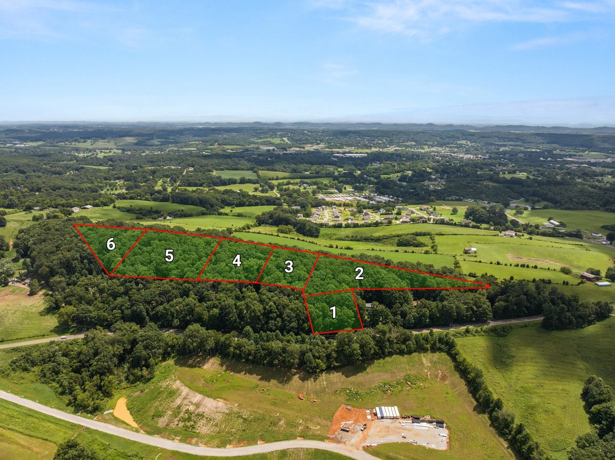 Aerial view of six numbered lots outlined in red along a tree line above open fields, Sweetwater TN