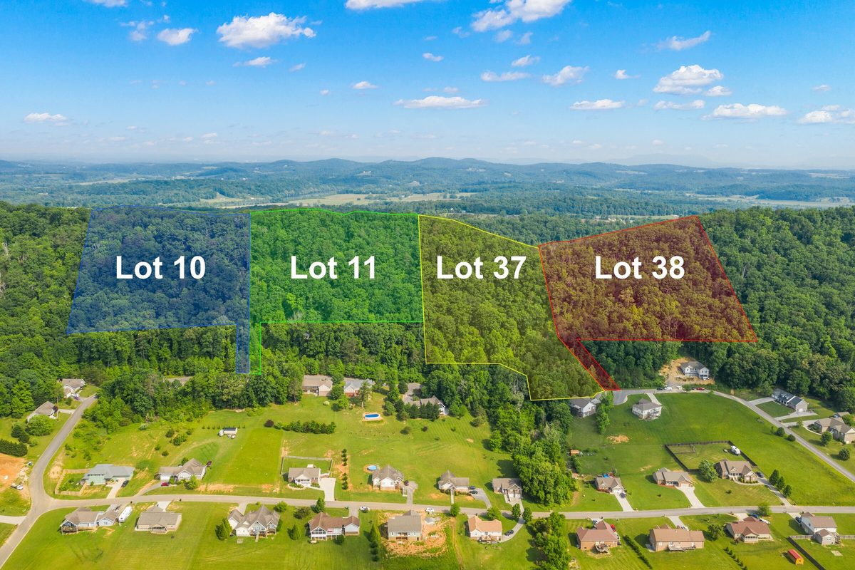 Aerial view of four color coded wooded lots with lot labels above a residential street